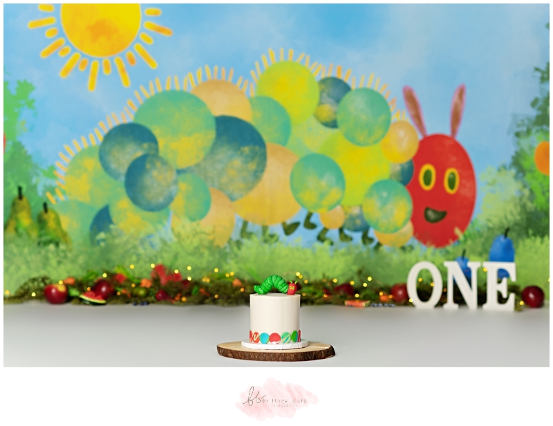 Very Hungry Caterpillar cake smash set up